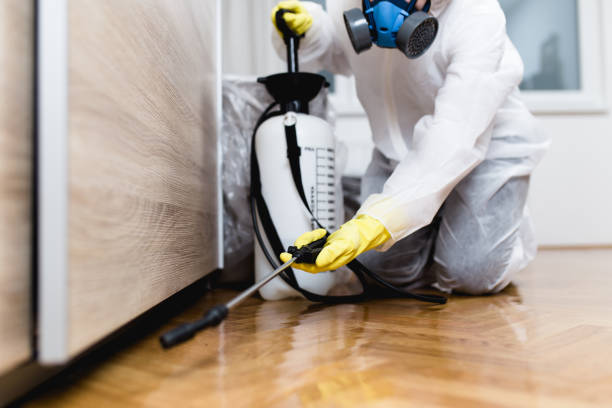 Best Emergency Pest Control  in University Of Lifornia Davis, CA